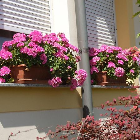 Apartment Revesz Harkany Bagian luar foto